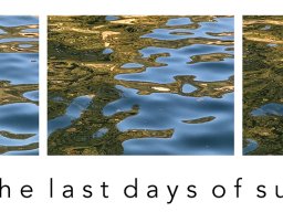 photoallschwil_hansjorgspeiser_5_the last days of summer